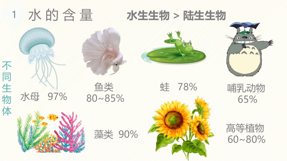 《细胞中的无机物》组成细胞的分子PPT课件[人教版高中生物必修一]_第3页