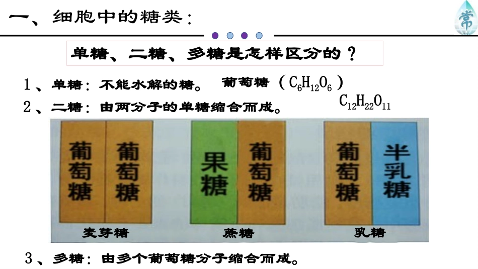 《细胞中的糖类和脂质》组成细胞的分子PPT教学课件_第3页