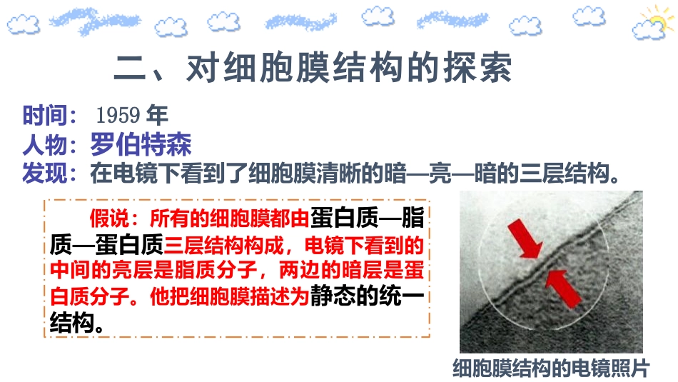 《细胞膜的结构和功能》细胞的基本结构PPT教学课件(第2课时)_第2页
