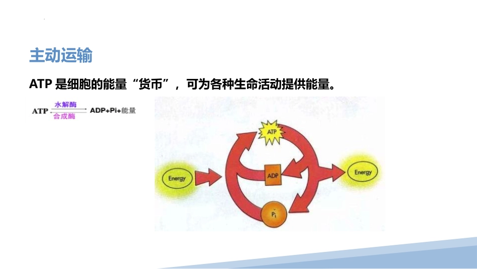 《主动运输与胞吞、胞吐》细胞的物质输入和输出PPT课件_第3页
