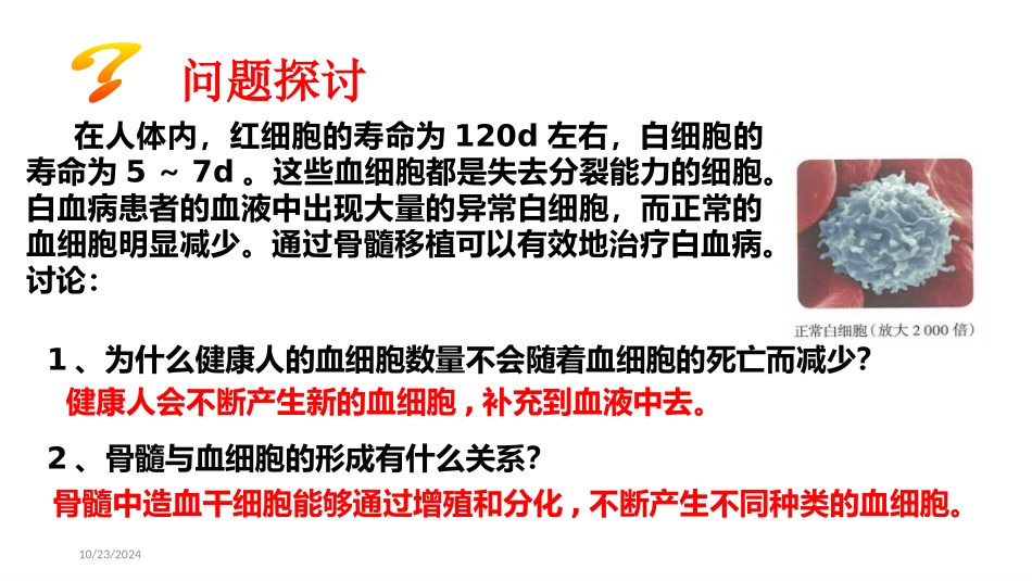《细胞的分化》细胞的生命历程PPT教学课件[人教版高中生物必修一]_第2页