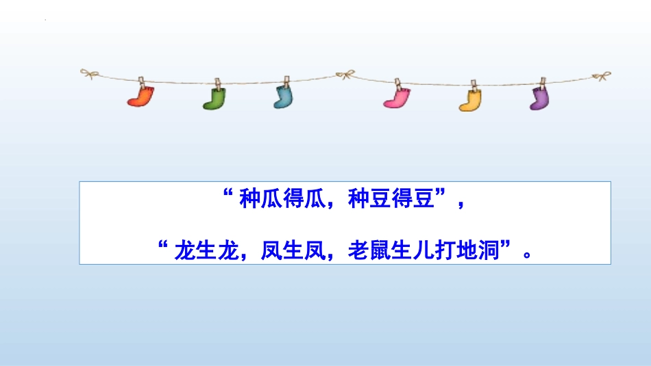 《孟德尔的豌豆杂交实验(一)》遗传因子的发现PPT教学课件_第2页