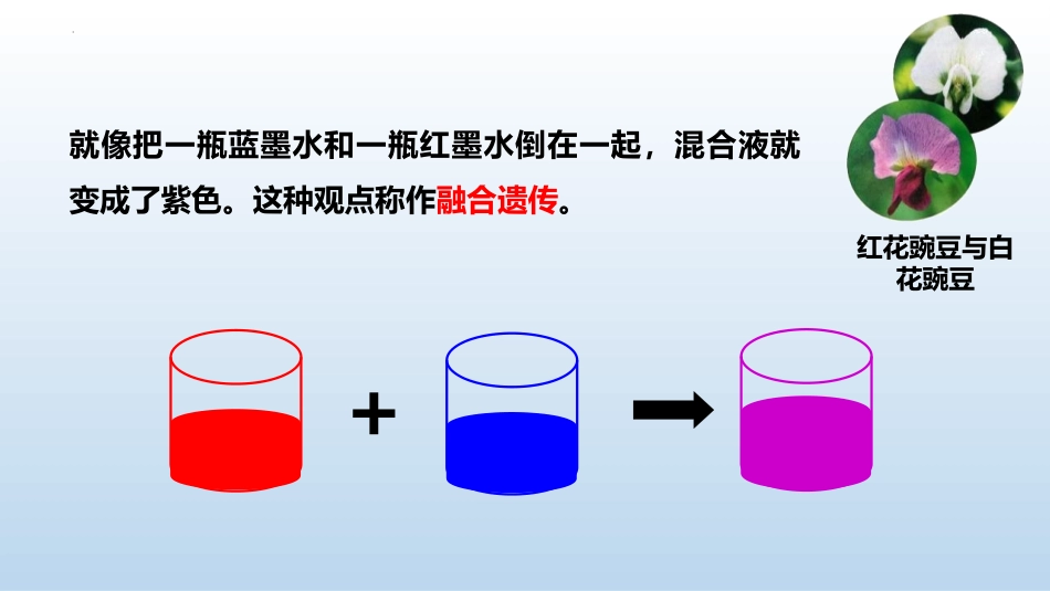 《孟德尔的豌豆杂交实验(一)》遗传因子的发现PPT教学课件_第3页