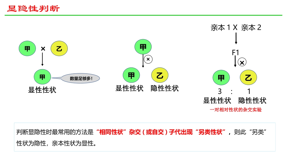 《孟德尔的豌豆杂交实验(一)》遗传因子的发现PPT课件_第3页