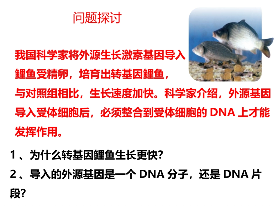 《基因通常是有遗传效应的DNA片段》基因的本质PPT教学课件_第2页