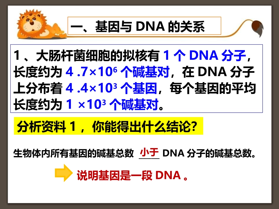 《基因通常是有遗传效应的DNA片段》基因的本质PPT教学课件_第3页