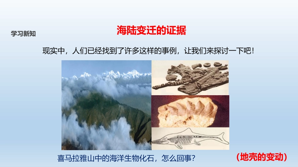 《海陆的变迁》陆地和海洋PPT教学课件[人教版七年级地理]_第3页