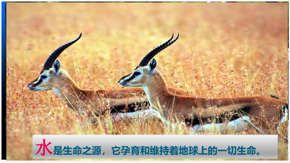 《水资源》中国的自然资源PPT教学课件[人教版八年级地理]_第3页