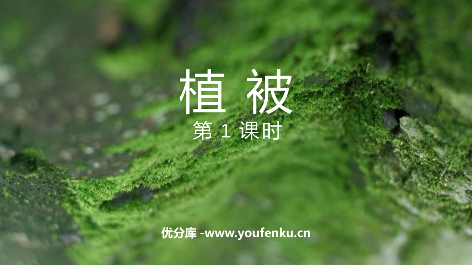 《植被》植被与土壤PPT(第1课时)PPT课件[人教版高中地理必修一]_第1页