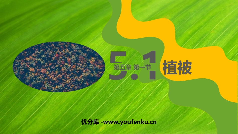 《植被》植被与土壤PPT教学课件[人教版高中地理必修一]_第1页