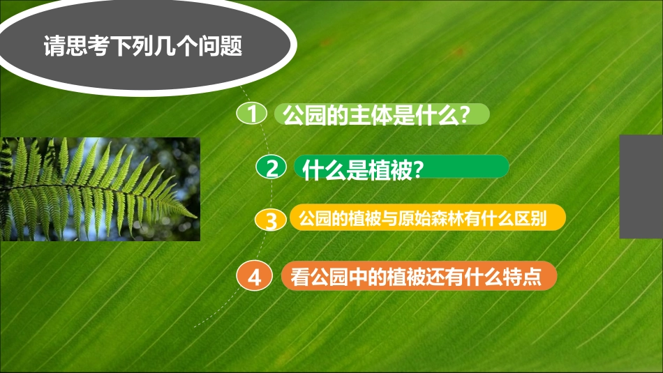 《植被》植被与土壤PPT教学课件[人教版高中地理必修一]_第2页