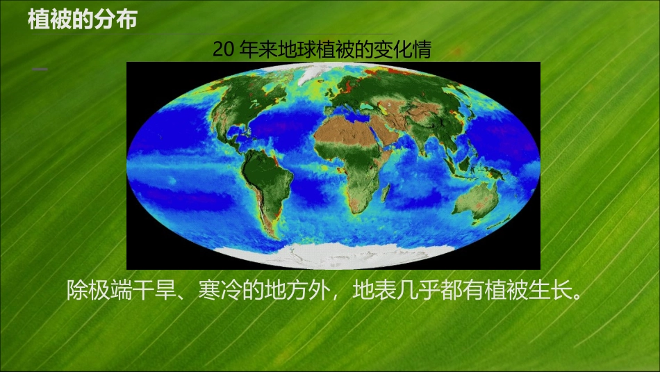 《植被》植被与土壤PPT教学课件[人教版高中地理必修一]_第3页