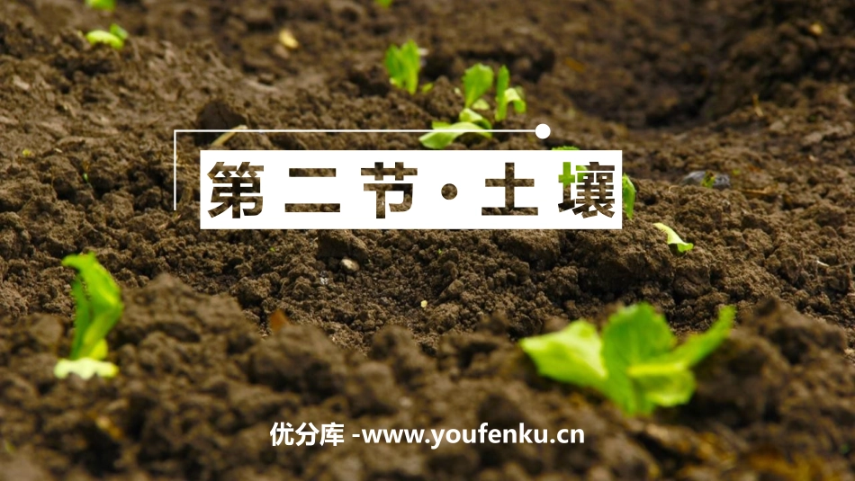 《土壤》植被与土壤PPT课件[人教版高中地理必修一]_第1页