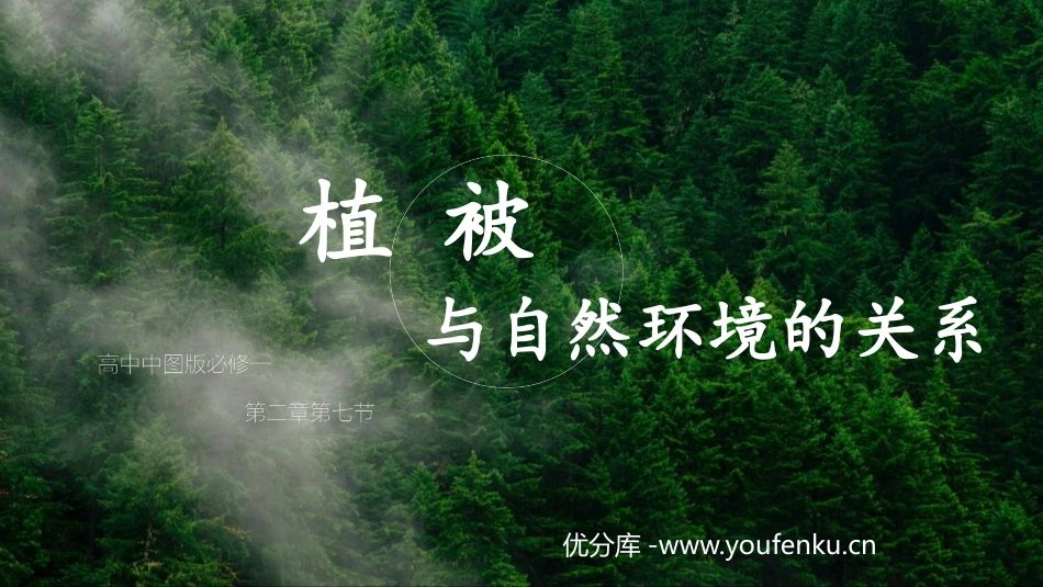 《植被与自然环境的关系》自然地理要素及现象PPT课件_第1页