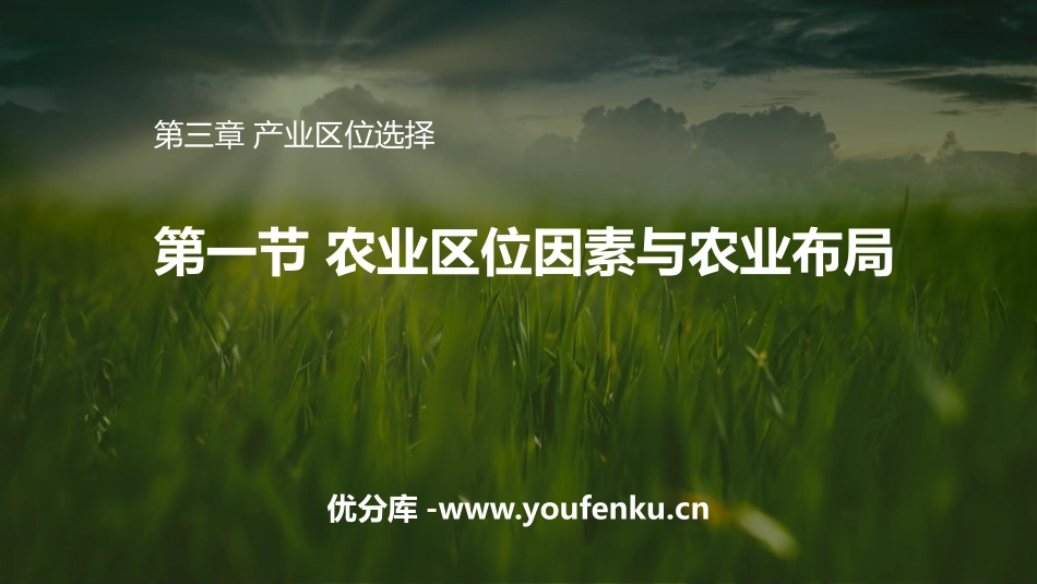 《农业区位因素与农业布局》产业区位选择PPT课件_第1页