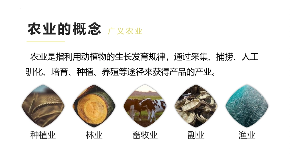 《农业区位因素与农业布局》产业区位选择PPT课件_第3页