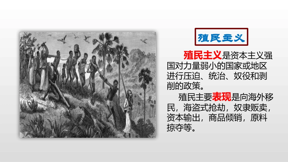 《早期殖民掠夺》PPT课件[部编版九年级历史上册]_第2页
