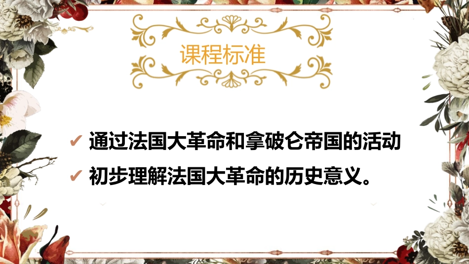 《法国大XXX和拿破仑帝国》PPT免费课件[部编版九年级历史]_第2页