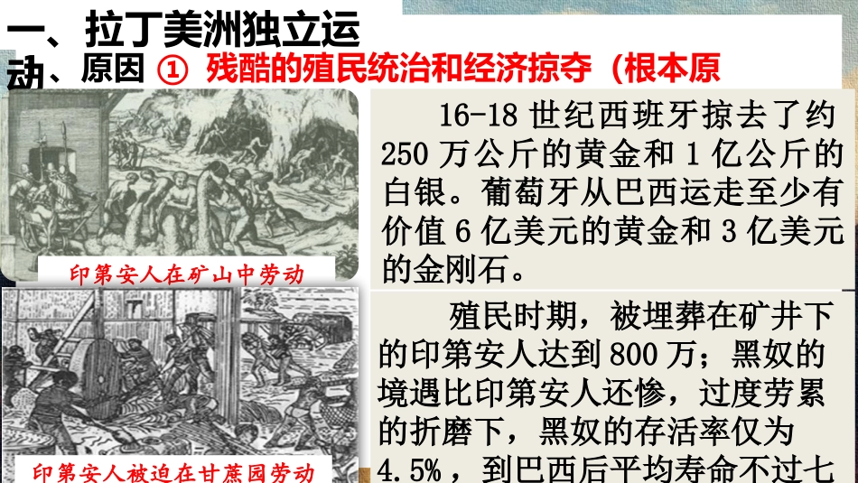 《殖民地人民的反抗斗争》PPT免费课件[部编版九年级历史]_第3页