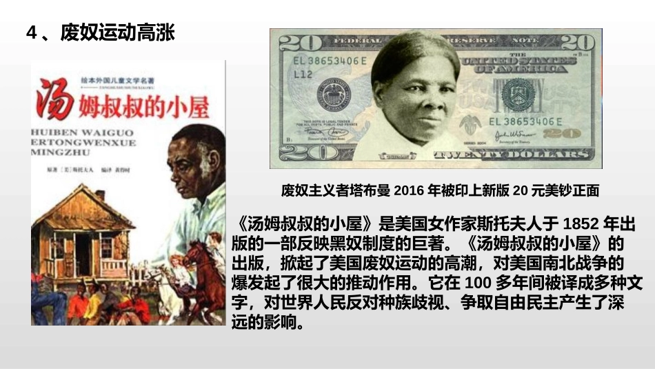 《美国的内战》PPT免费课件[部编版九年级历史下册]_第3页