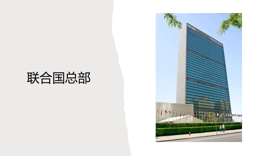 《联合国与世界贸易组织》PPT课件[部编版九年级历史下册]_第3页