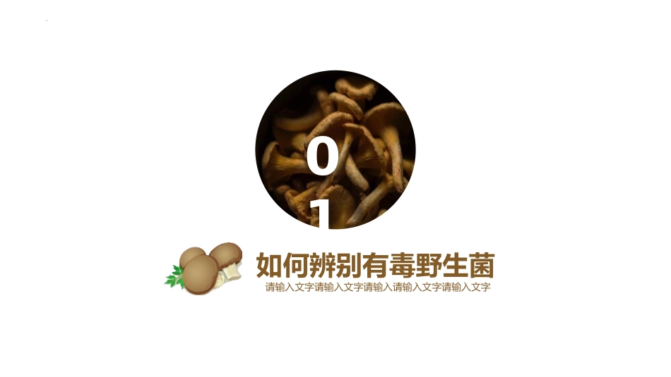 《预防野生菌中毒》PPT班会课件[安全主题班会PPT]_第3页