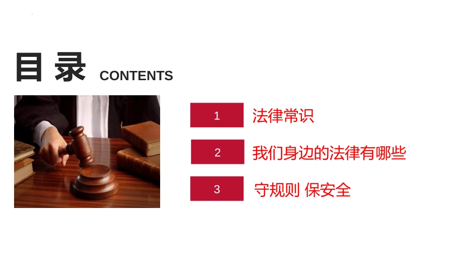 《学会保护自己》PPT班会课件[安全主题班会PPT]_第2页