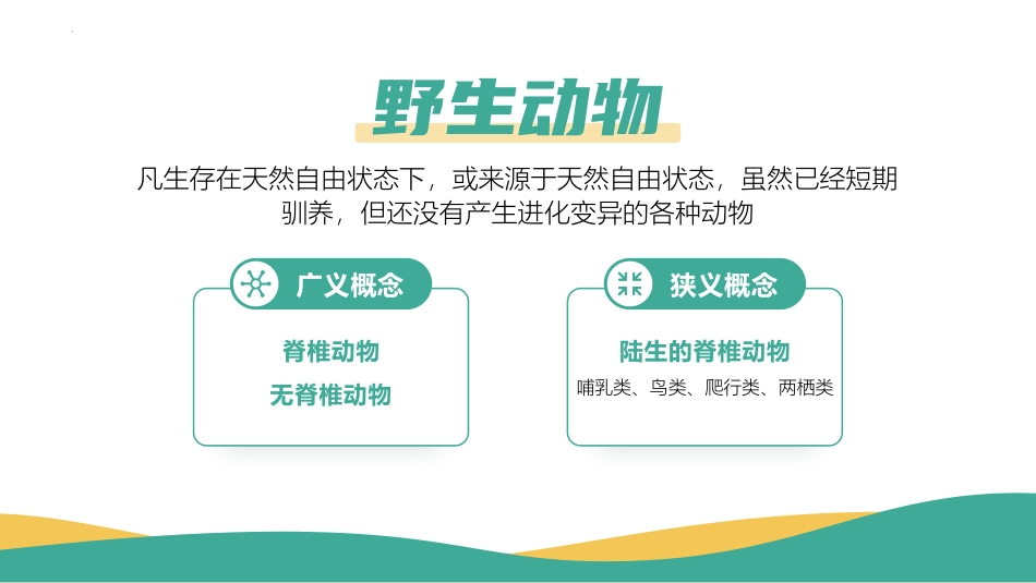 《保护动物 从我做起》PPT班会课件[节日主题班会PPT]_第3页