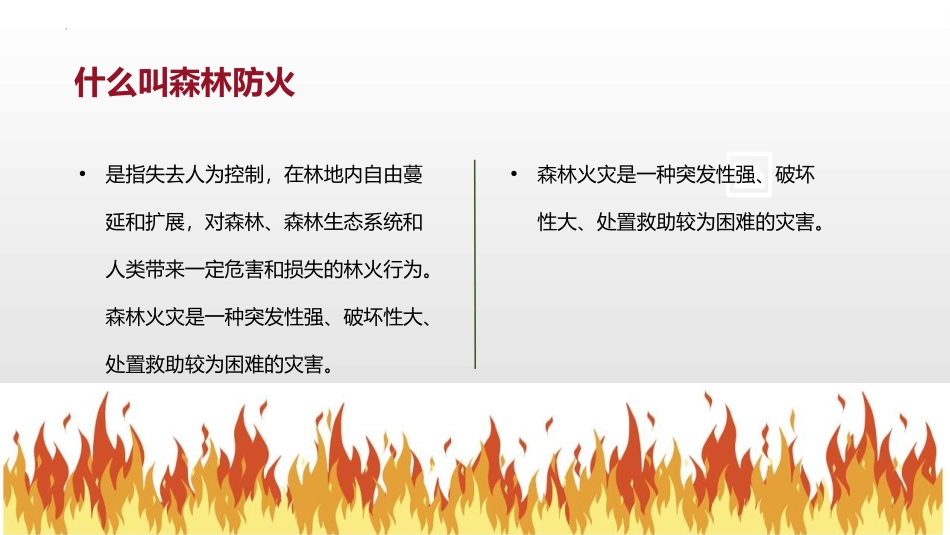 《森林防火 人人有责》PPT班会课件[安全主题班会PPT]_第3页