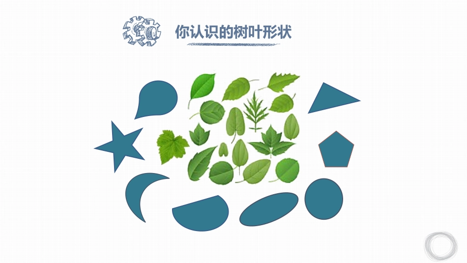 《让大家认识我》PPT课件[一年级美术上册]_第3页