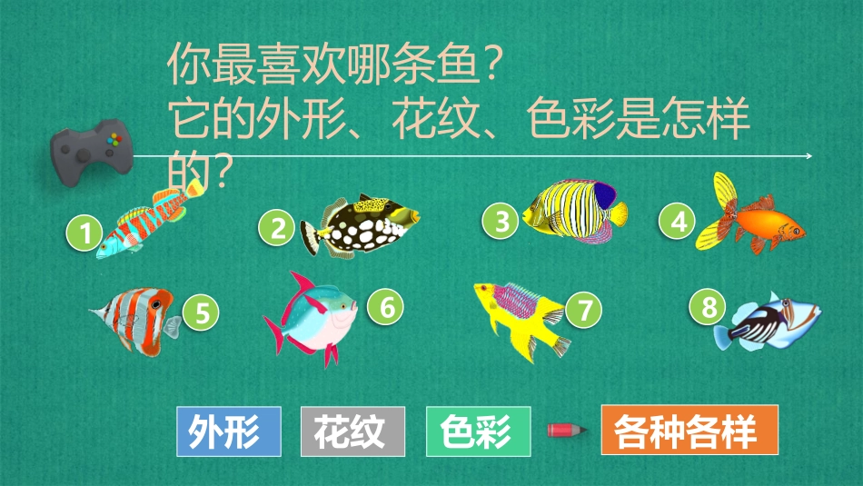 《谁画的鱼最大？》PPT课件[一年级美术上册]_第3页