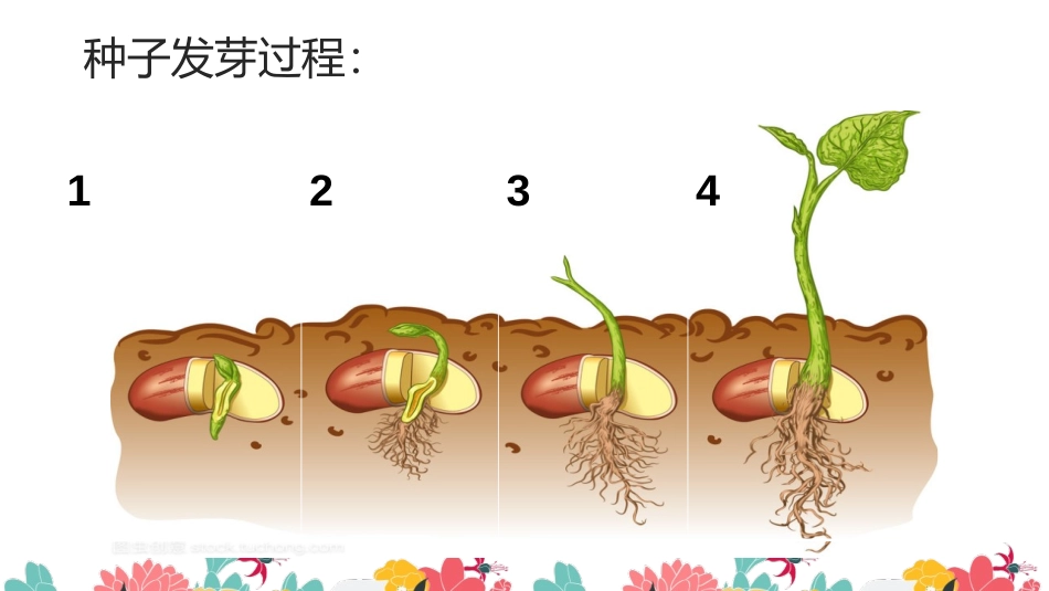 《长呀长》PPT课件[一年级美术下册]_第2页