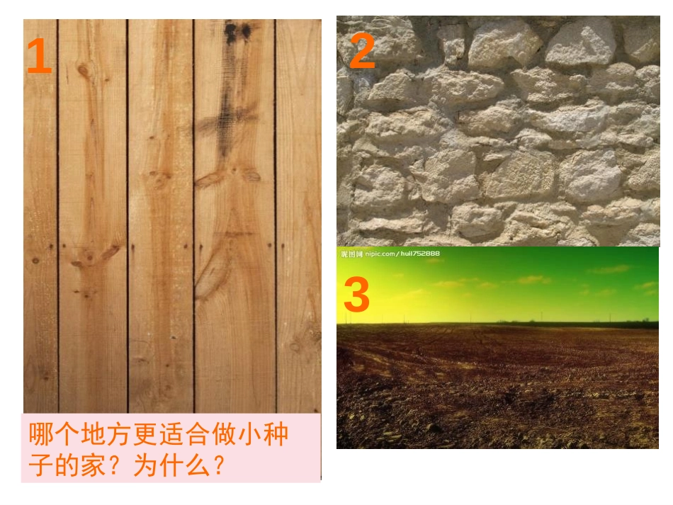 《长呀长》PPT教学课件[一年级美术下册]_第2页