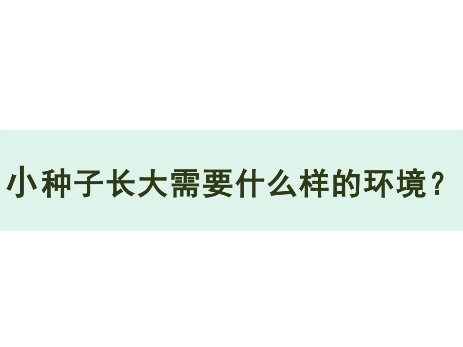 《长呀长》PPT教学课件[一年级美术下册]_第3页