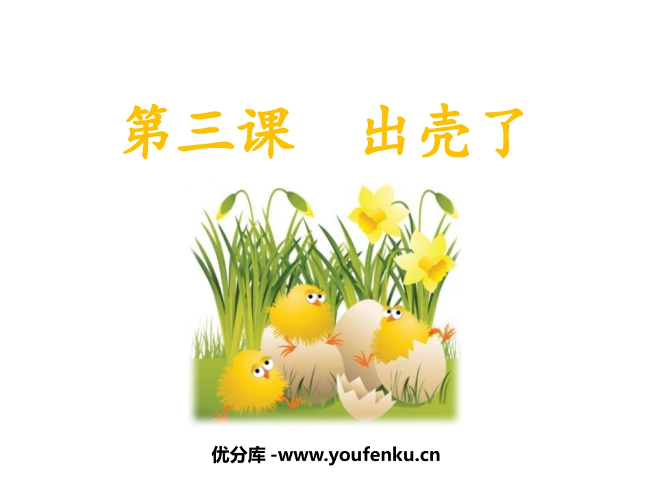 《出壳了》PPT课件[一年级美术下册]_第1页