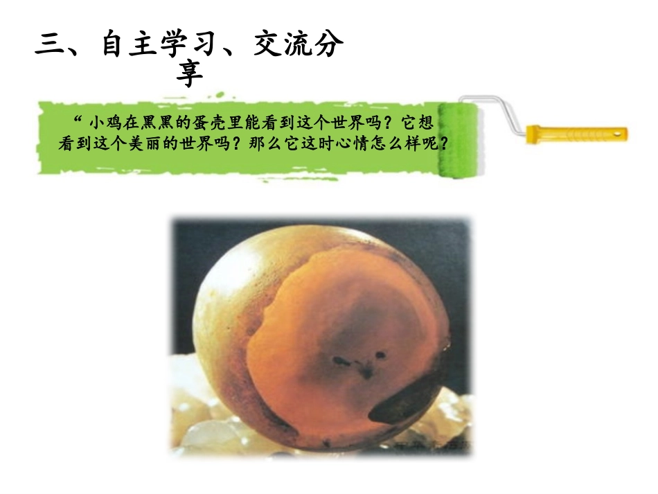 《出壳了》PPT课件[一年级美术下册]_第3页