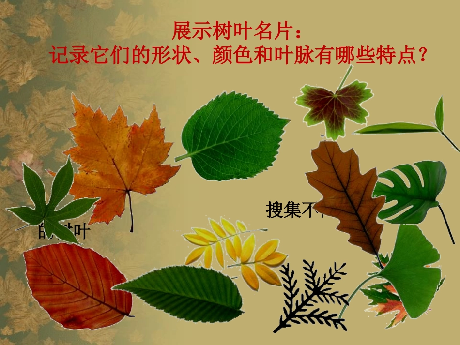 《我们身边的痕迹》PPT课件[二年级美术上册]_第2页