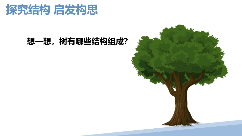 《大树的故事》PPT课件[二年级美术上册]_第3页