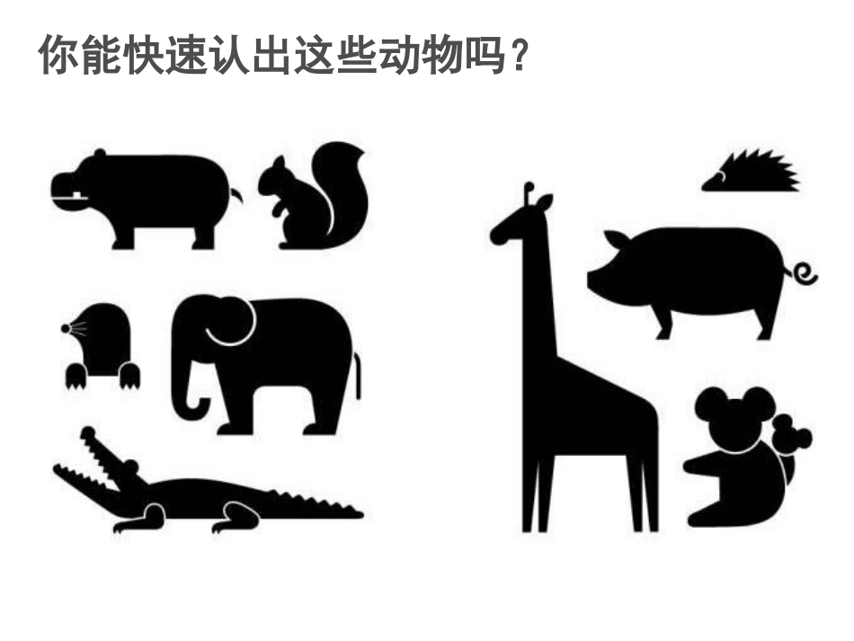 《动物乐园》PPT课件[二年级美术上册]_第2页