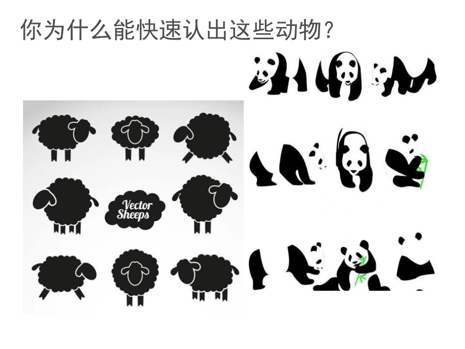 《动物乐园》PPT课件[二年级美术上册]_第3页