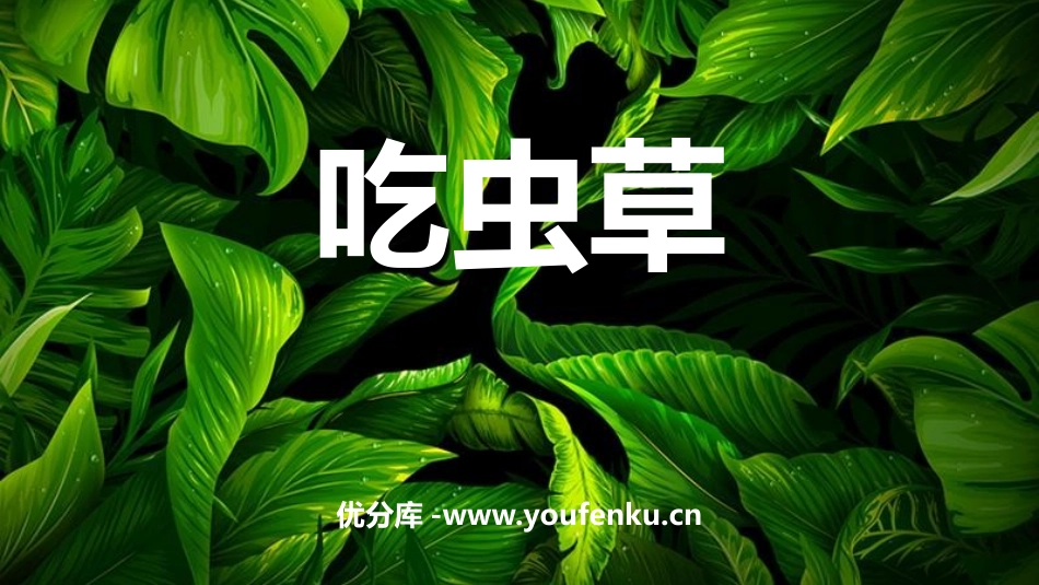 《吃虫草》PPT课件[二年级美术下册]_第1页