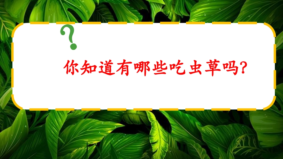 《吃虫草》PPT课件[二年级美术下册]_第2页