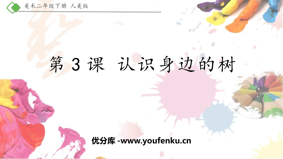 《认识身边的树》PPT课件[二年级美术下册]_第1页