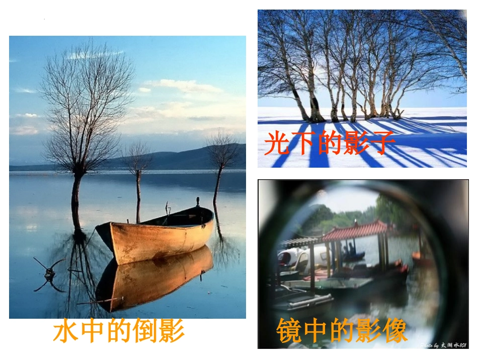 《画影子》PPT课件[二年级美术下册]_第3页