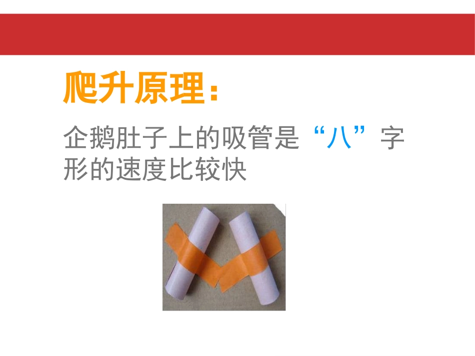 《爬升玩具》PPT教学课件[三年级美术上册]_第3页