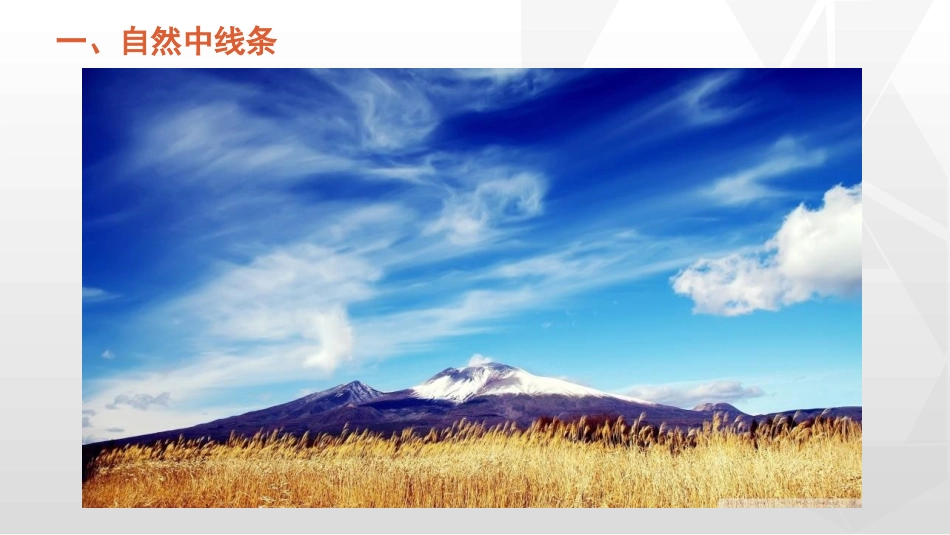 《画中的线条》PPT教学课件[三年级美术下册]_第2页