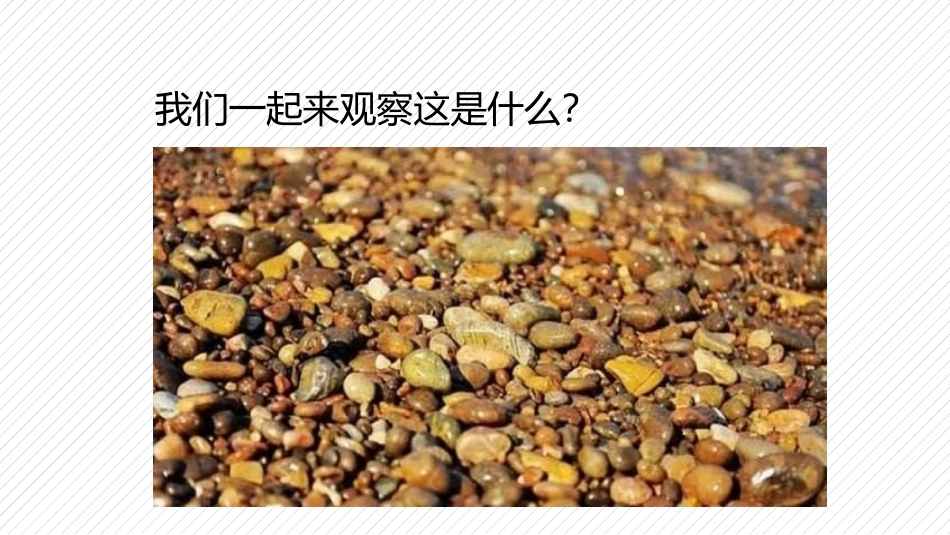 《卵石动物造型》PPT课件[三年级美术下册]_第2页