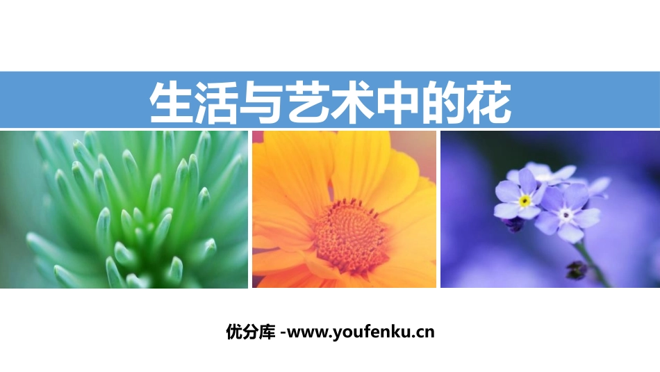 《生活与艺术中的花》PPT课件[三年级美术下册]_第1页