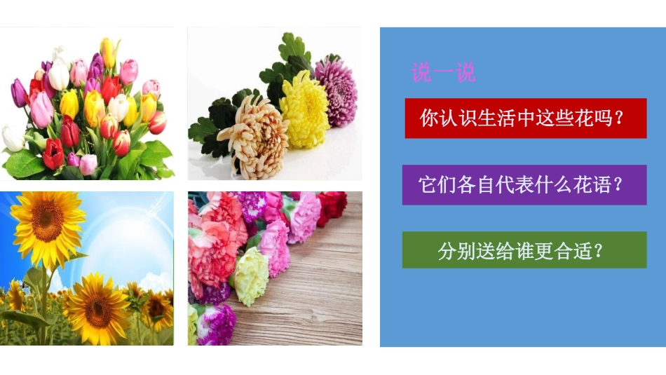 《生活与艺术中的花》PPT课件[三年级美术下册]_第3页