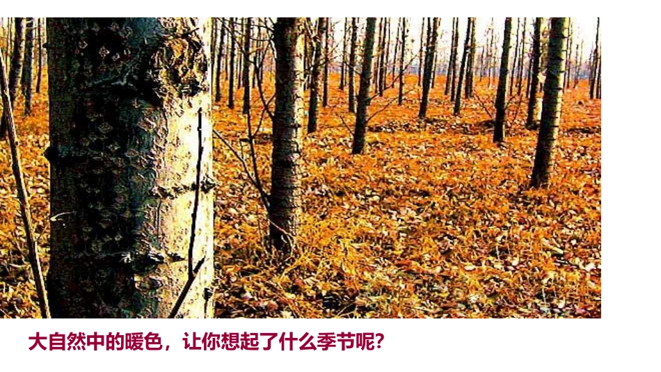 《四季的色彩》PPT教学课件[四年级美术上册]_第3页